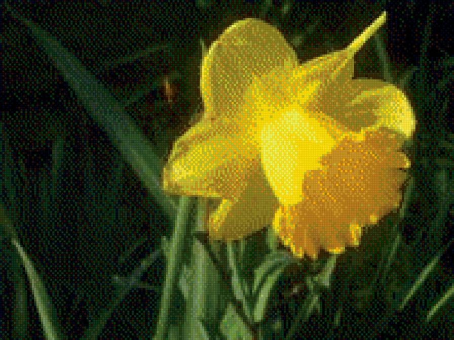 shar - предпросмотр