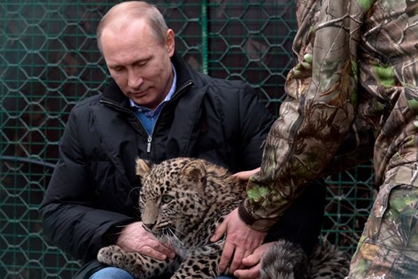 Это наш президент!! - путин, россия, президент - оригинал