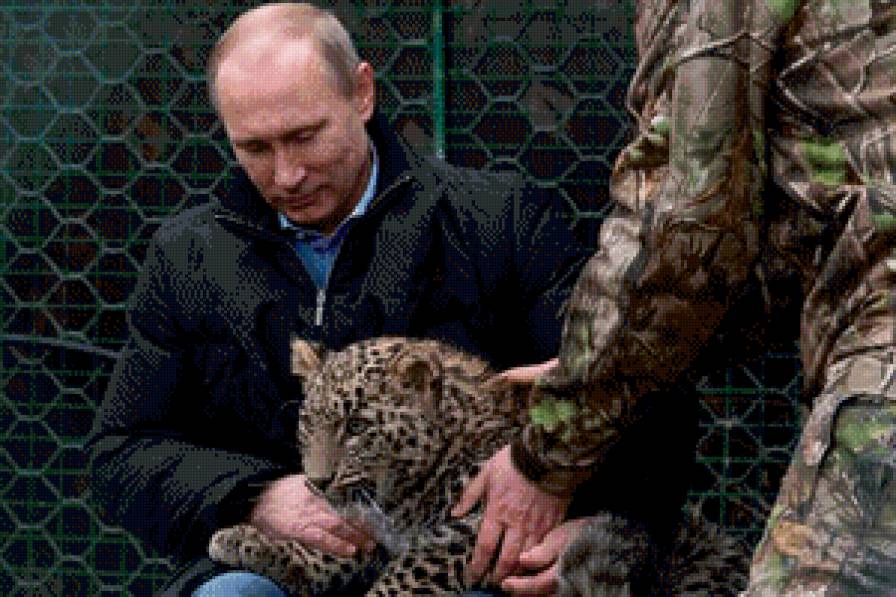 Это наш президент!! - россия, путин, президент - предпросмотр