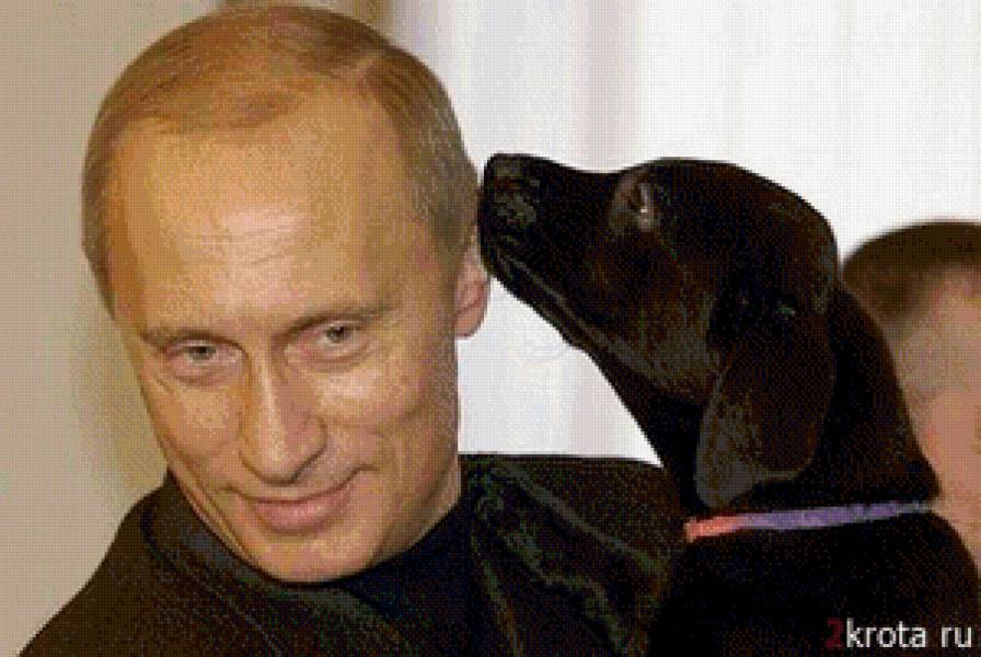 Это наш президент!! - россия, путин, президент - предпросмотр