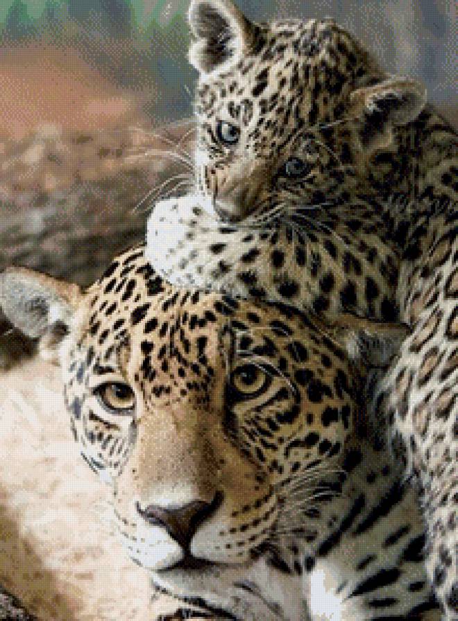 леопард 4 - леопард, кошка - предпросмотр