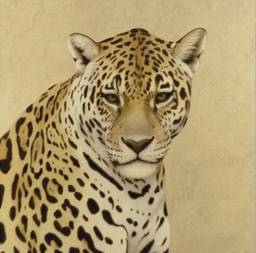 леопард - леопард, хищник - предпросмотр