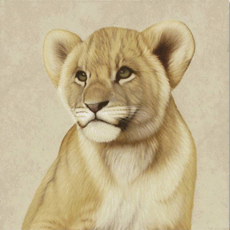 львенок - хищник, лев - предпросмотр