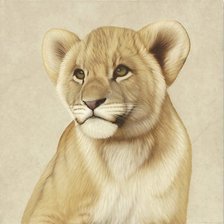 Схема вышивки «львенок»