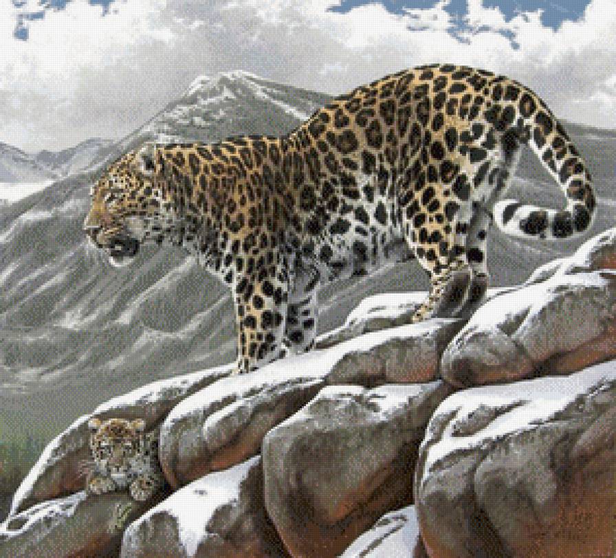 Серия "Дикая природа" - снег, котенок, горы, дикие кошки, пейзаж, леопард - предпросмотр