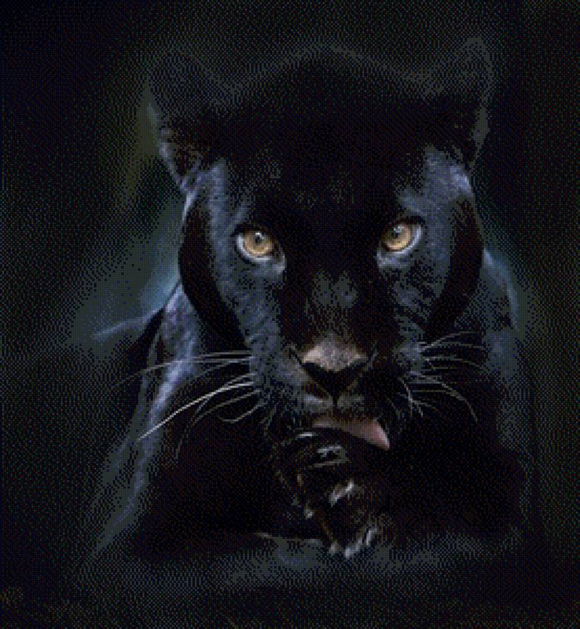 пантера - предпросмотр