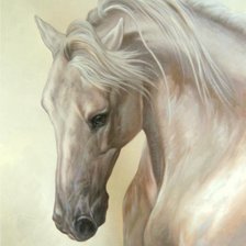 Оригинал схемы вышивки «белая лошадь» (№964654)