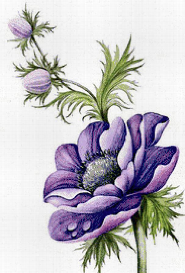 Сиреневый цветок. - сиреневый, акварель, цветок - предпросмотр