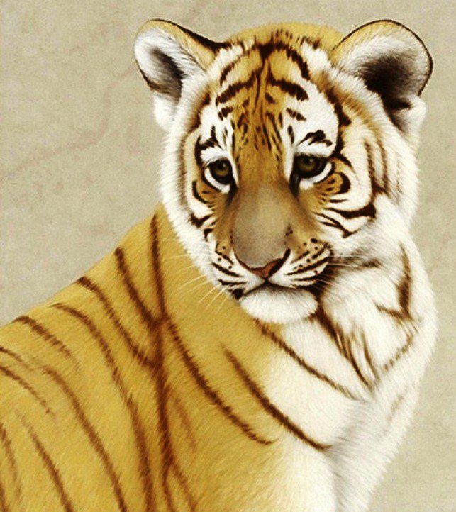 Тигрёнок - дикие кошки, животные, тигр - оригинал