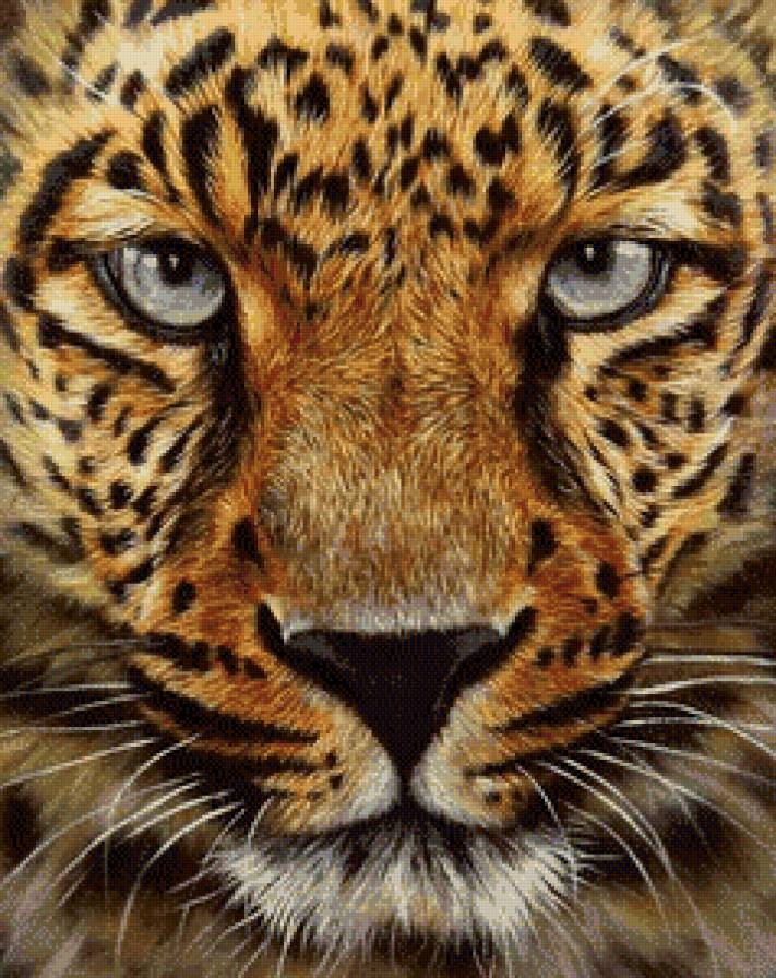 Серия "Дикая природа" - леопард, взгляд, хищник, портрет - предпросмотр
