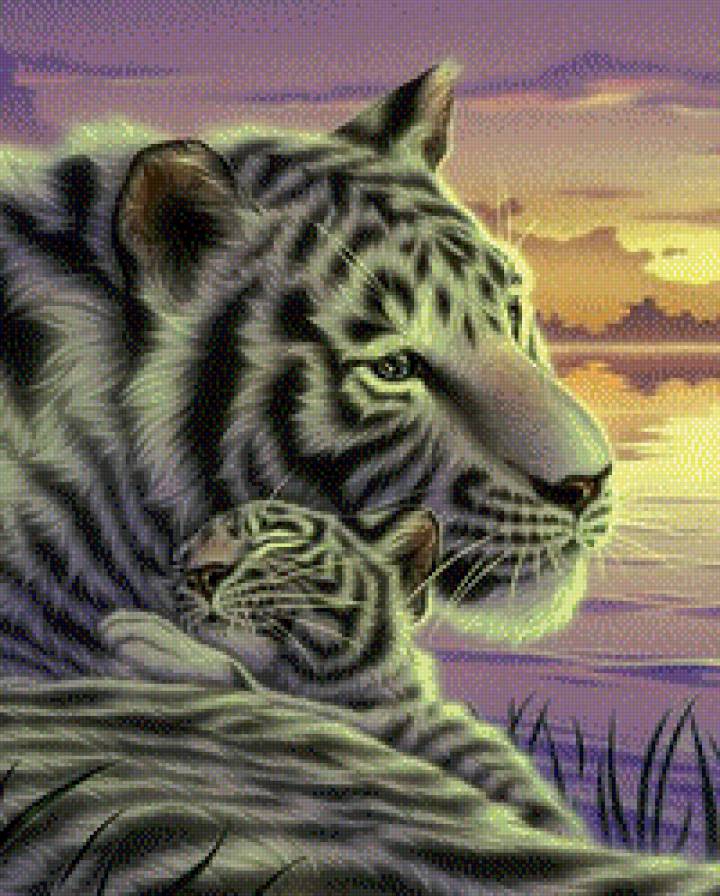 тигры - предпросмотр