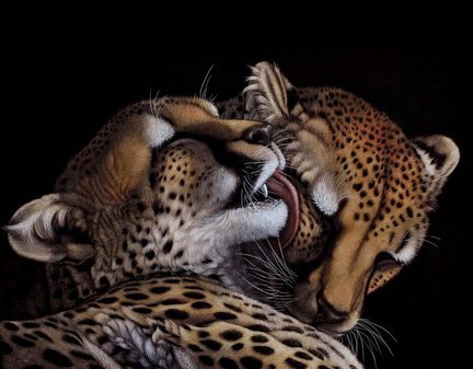 №965380 - оригинал