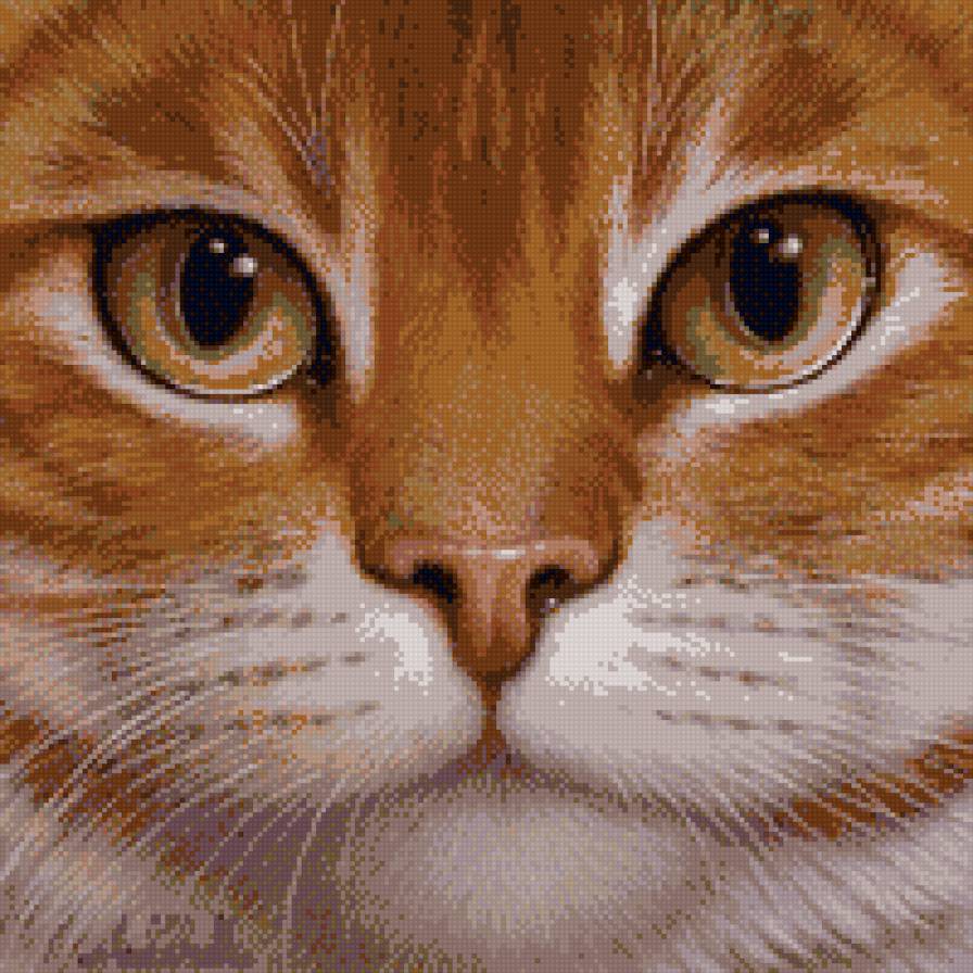 №965422 - предпросмотр