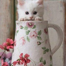 Схема вышивки «№965434»