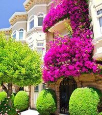 Схема вышивки «№965437»