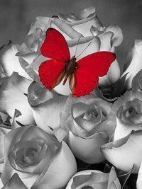 №965439 - оригинал