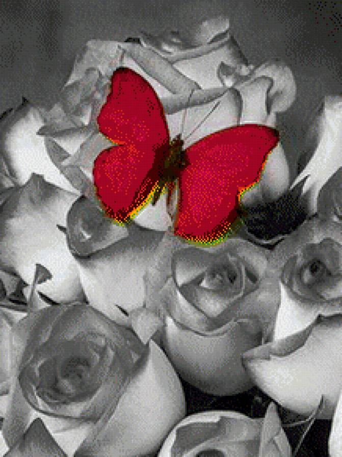 №965439 - предпросмотр