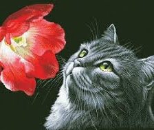 Схема вышивки «№965445»