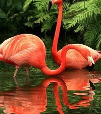 Схема вышивки «№965447»