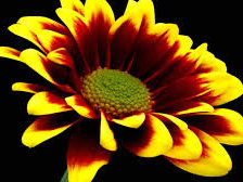 Схема вышивки «№965451»