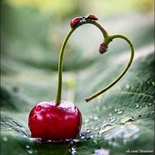 Схема вышивки «№965454»