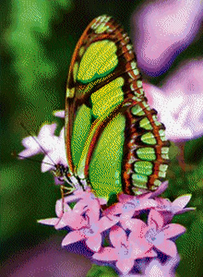 №965459 - предпросмотр