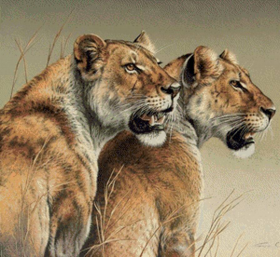 Серия "Дикая природа" - хищники, охота, львы, львица, оскал - предпросмотр