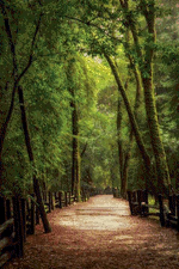 " Алея  любви!!" - природа, пейзаж, лето - предпросмотр