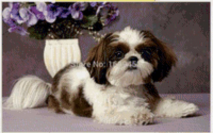 " Симпатяжка" - любовь к ним, животные. собачки - предпросмотр