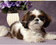 Схема вышивки «" Симпатяжка"»