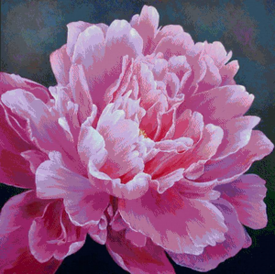 Цветок - цветы, природа - предпросмотр