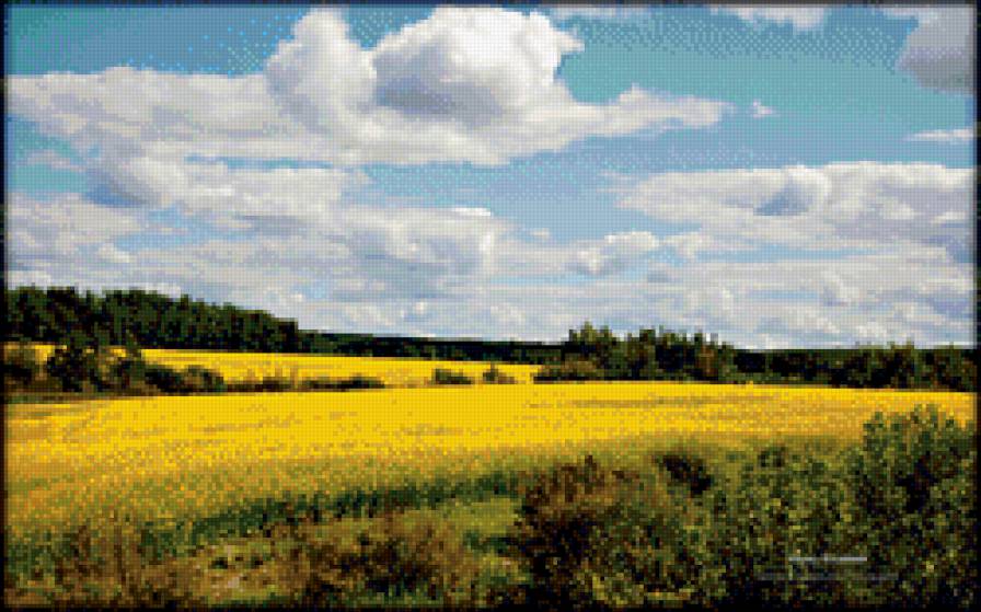 Поле - предпросмотр