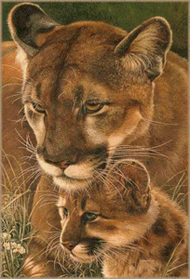 Серия "Дикая природа" - львенок, забота, львица, нежность, мать и дитя - предпросмотр