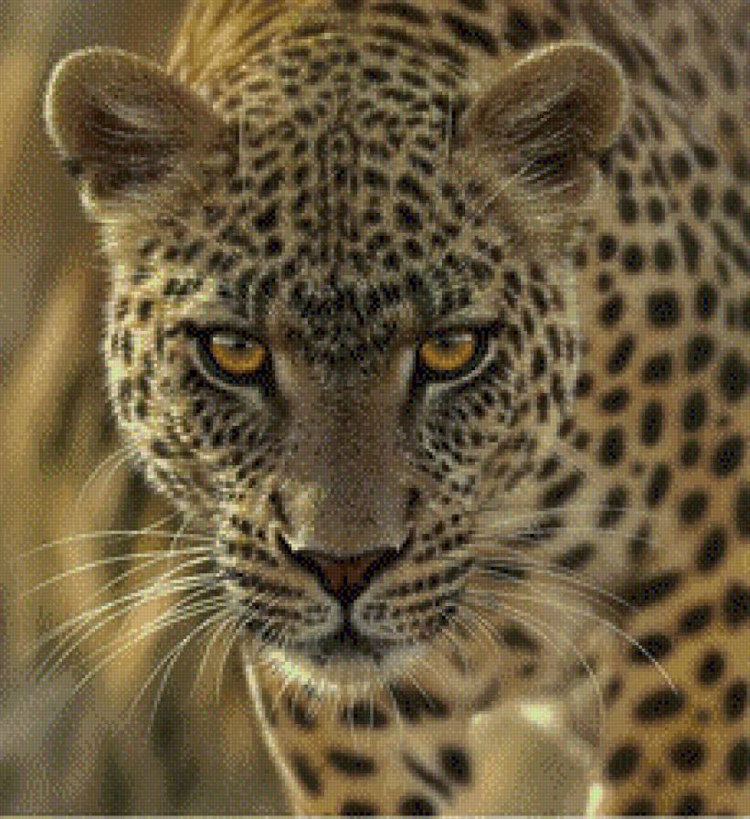 Гепард - предпросмотр