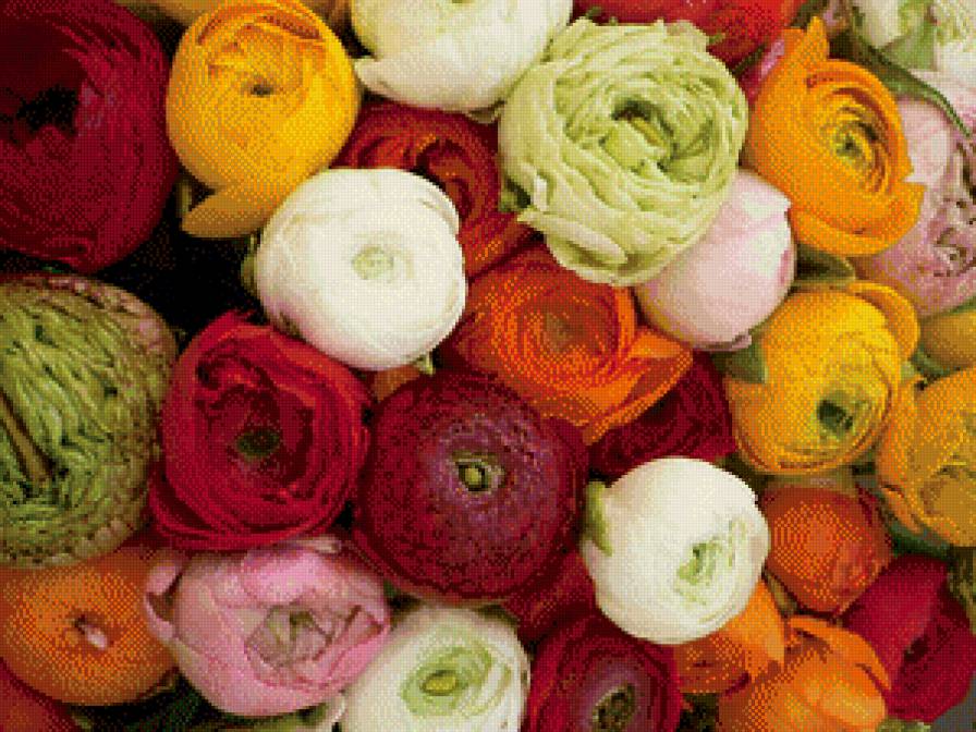 лютики - цветы - предпросмотр