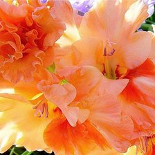 Схема вышивки «№966081»