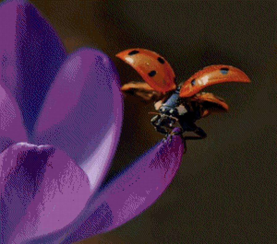 №966156 - предпросмотр