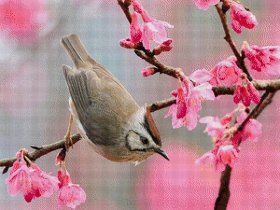 №966205 - предпросмотр