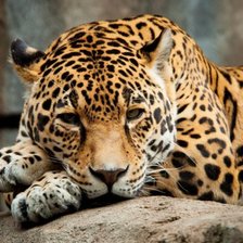 Схема вышивки «№966216»