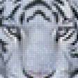 Предпросмотр схемы вышивки «тигр на скале» (№966371)