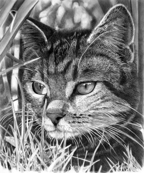 №966392 - оригинал