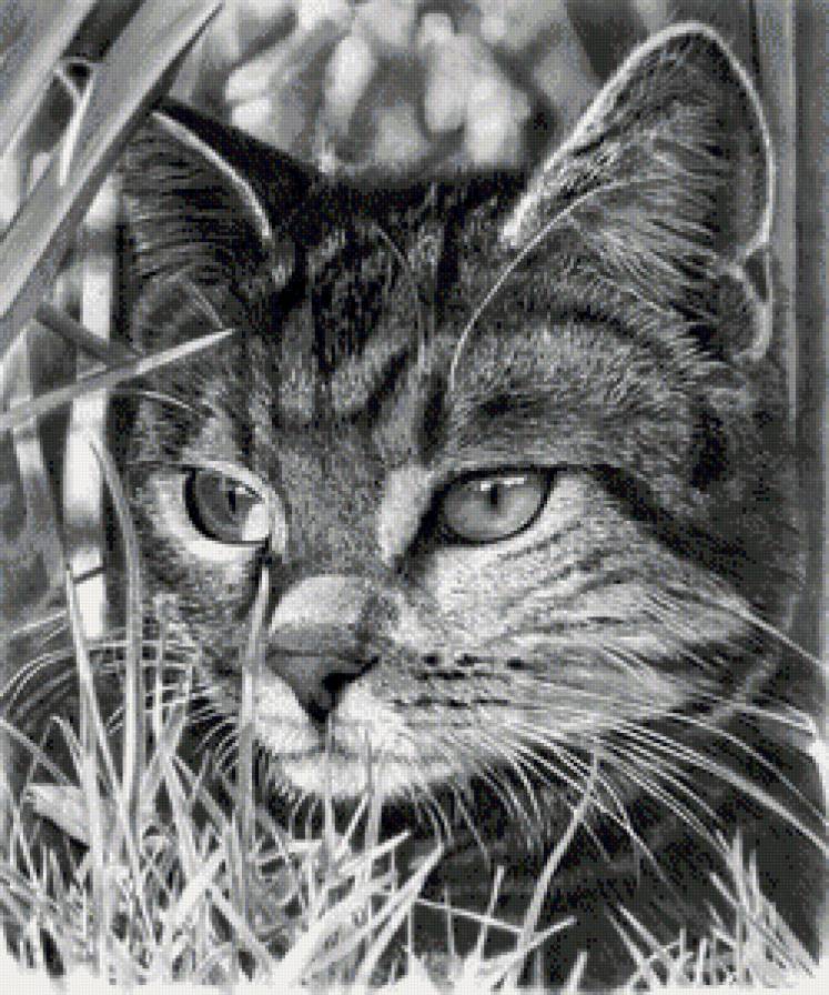 №966392 - предпросмотр