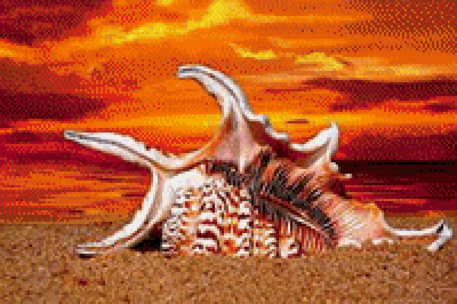 раковина на закате - предпросмотр