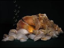 Схема вышивки «на дне морском»