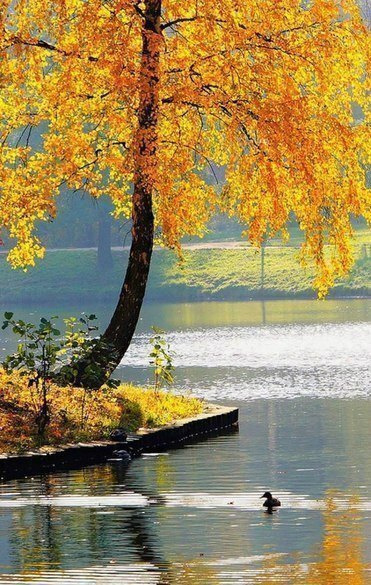 №966534 - оригинал