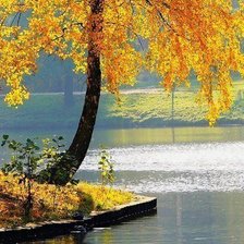 Схема вышивки «№966534»