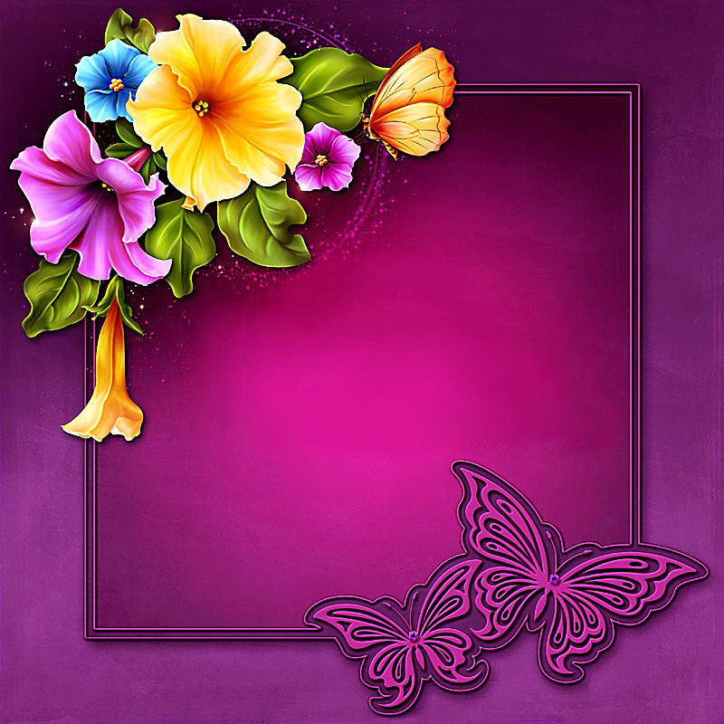 рамка для фото с барвинком - комплект, цветы, фото, петунии, рамка - оригинал