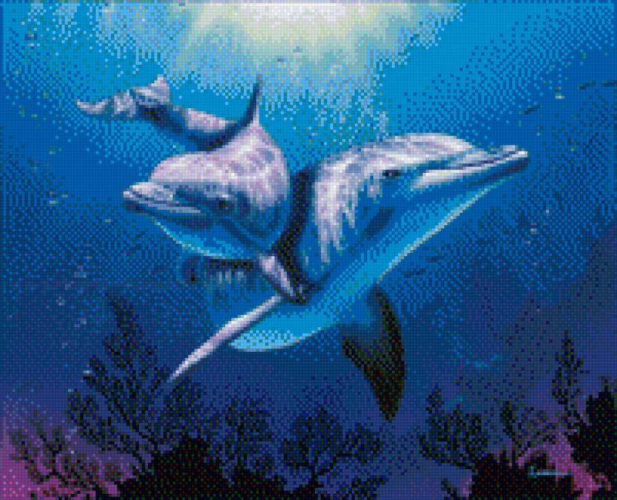 Дельфины - предпросмотр