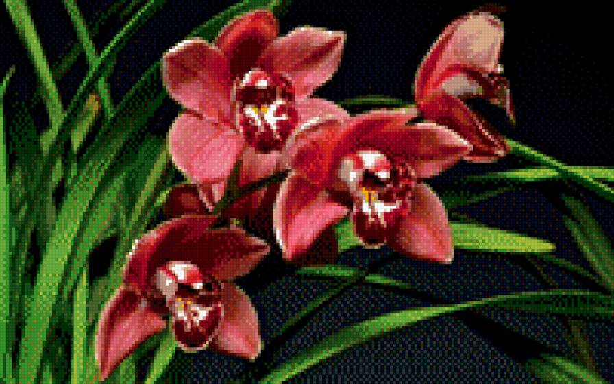 Цветы. - предпросмотр