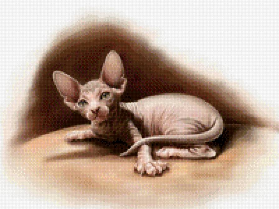 Котейка. - предпросмотр